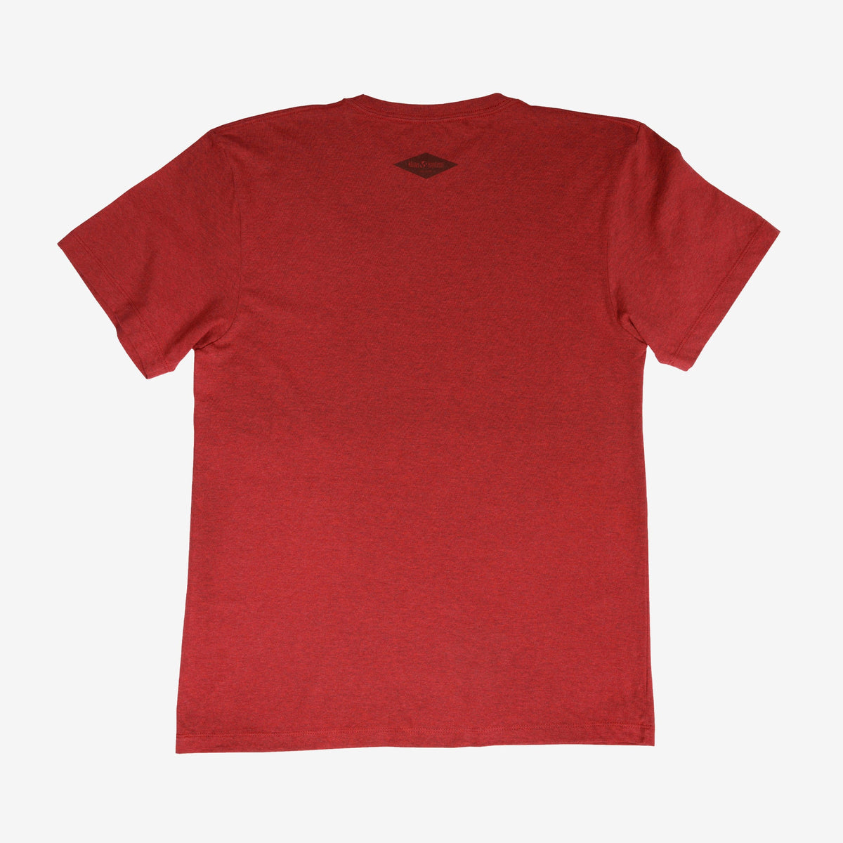 backyard-t-shirt-o5 Shirt_Mtn_Back.jpg